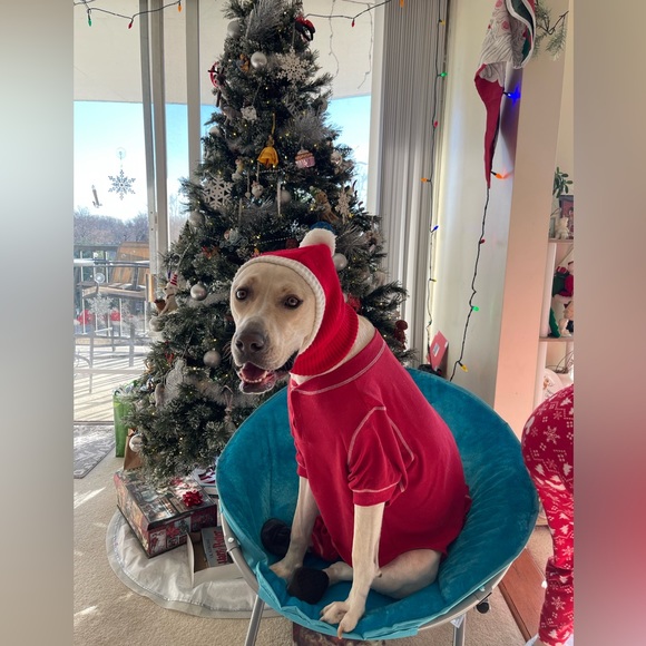 Fab Dog Thermal Pajamas - Picture 5 of 7